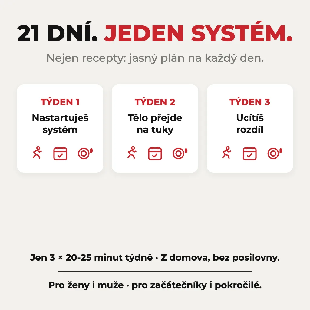 21denní systém