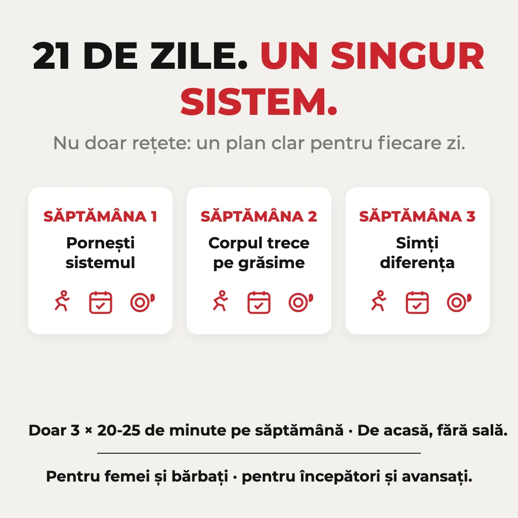 Sistemul de 21 de zile